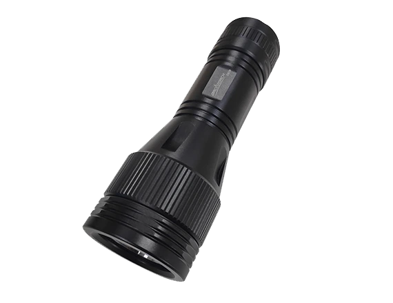 D810