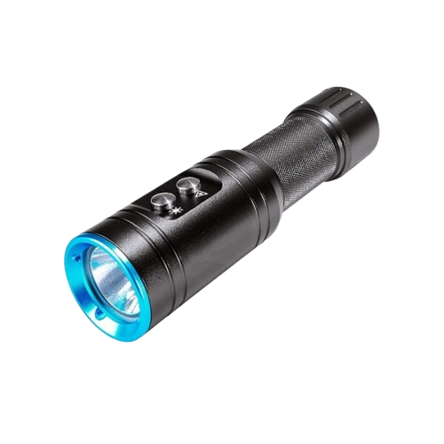 BPF-01